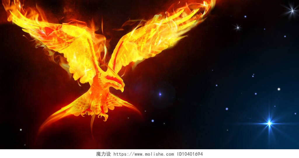 在黑夜上的一只火凤凰一种被称为凤凰的神话中的鸟的艺术，一种在太空背景中燃烧的鸟.